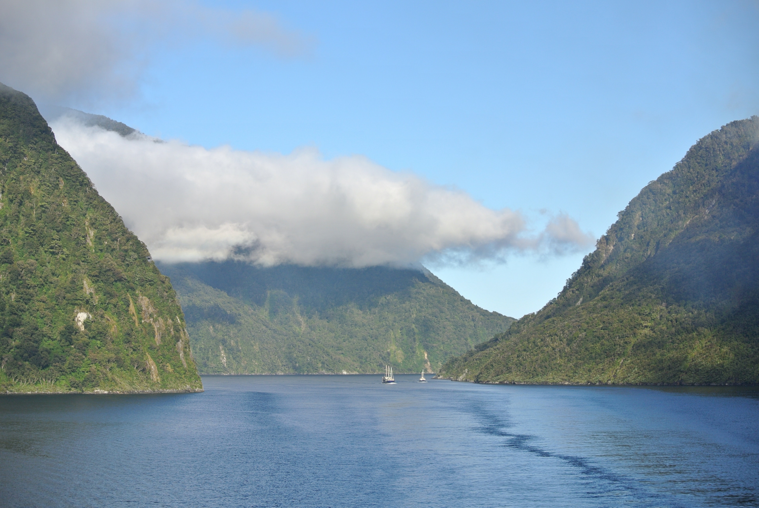 See Fiordland National Park by air.